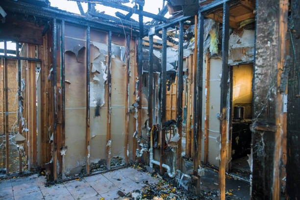 Professional Fire Damage Removal technician working in South Carolina, SC